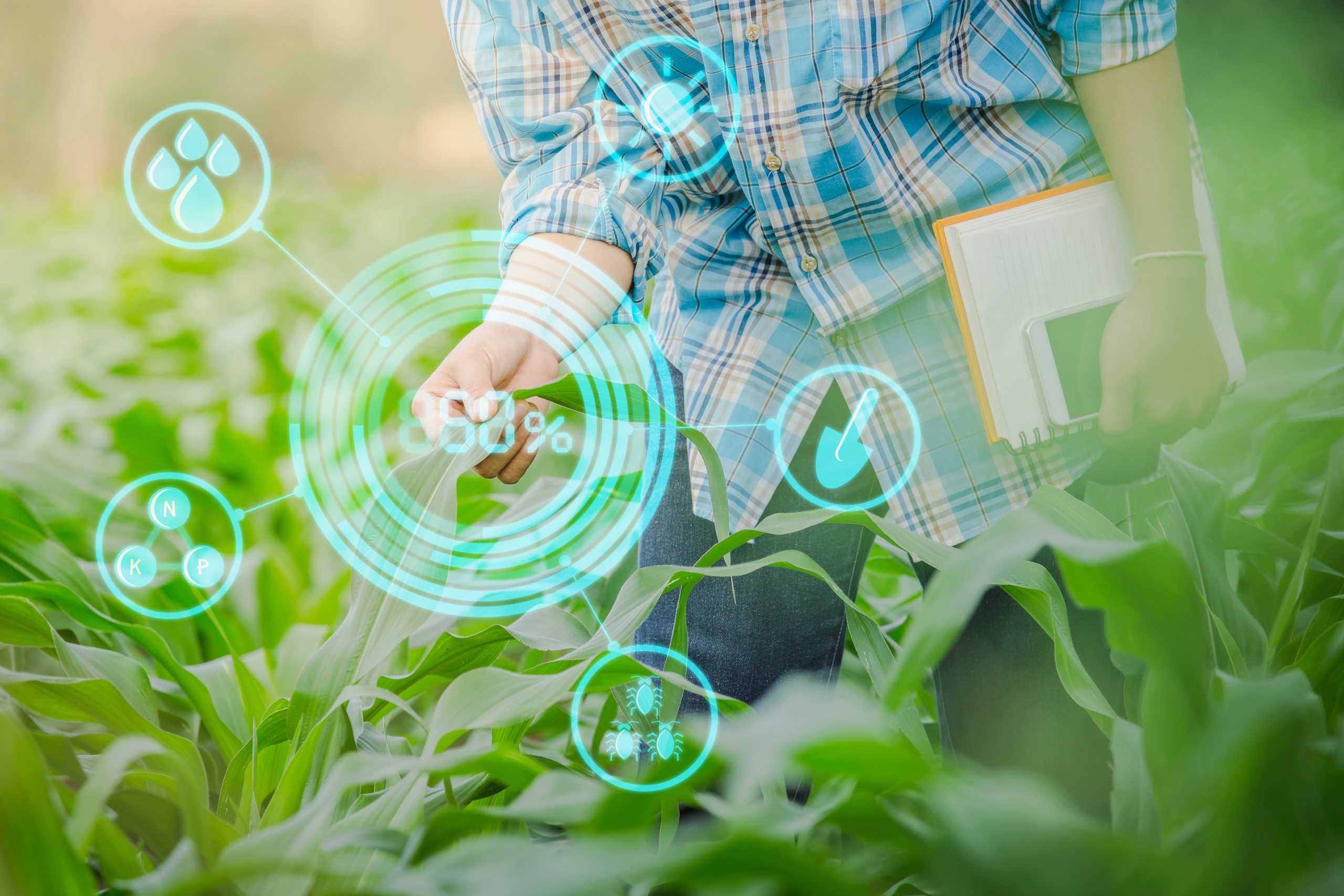 Como A Agricultura Digital Pode Contribuir A Produtividade