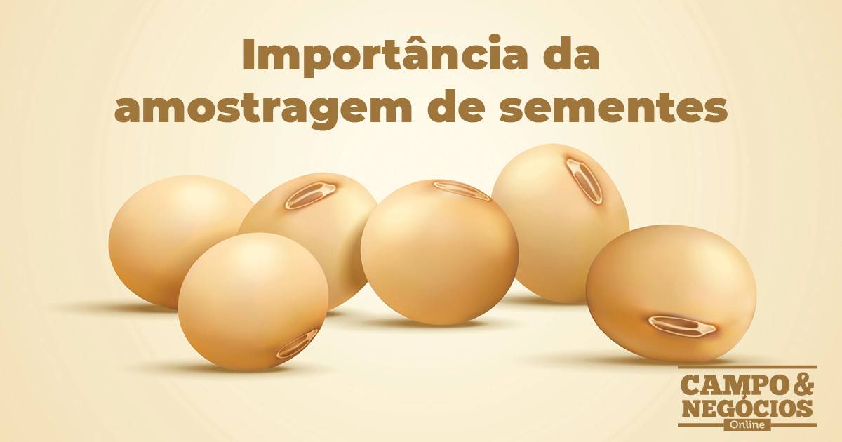 Importância da amostragem de sementes Revista Campo Negócios