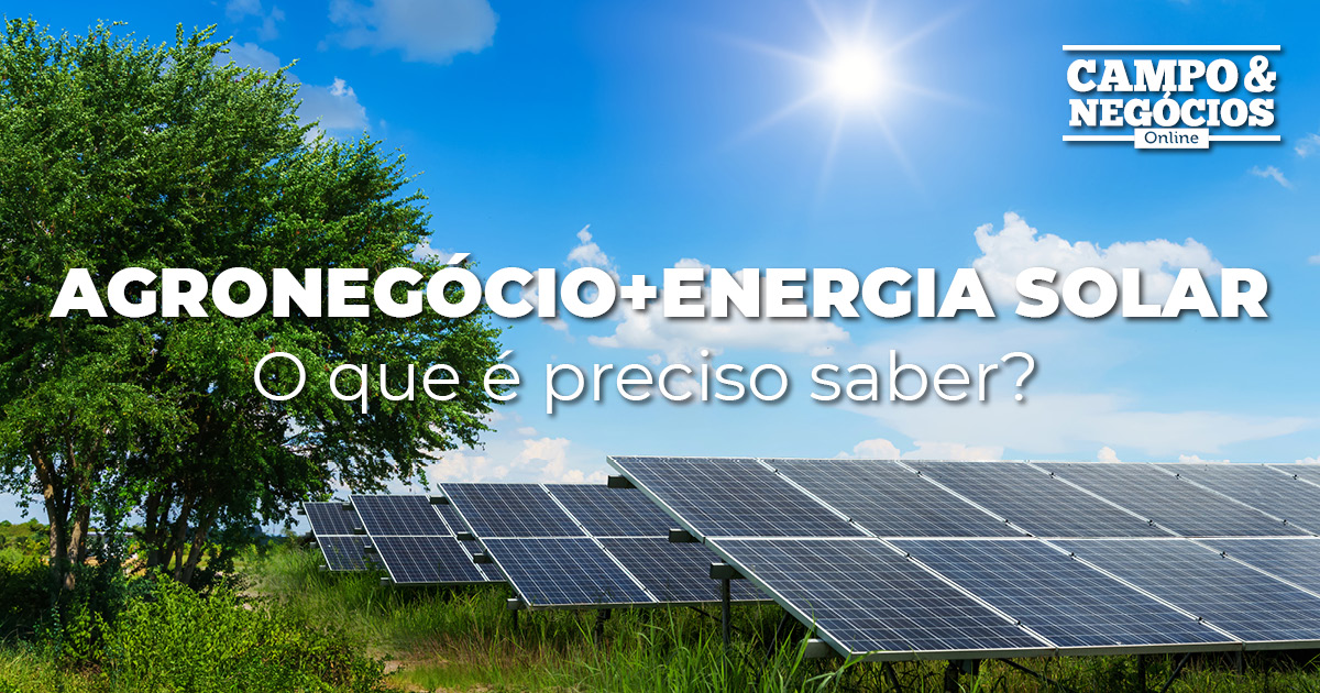 Como o agronegócio se beneficia a energia solar Revista Campo