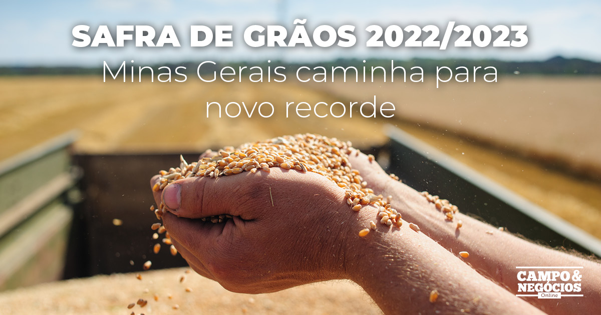 Safra de grãos 2022 2023 em Minas Gerais caminha para novo recorde