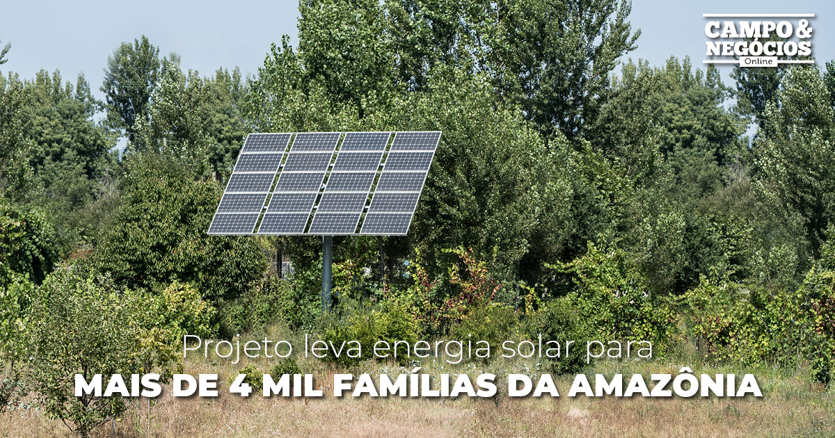 Projeto Leva Energia Solar Para Mais De Mil Fam Lias Da Amaz Nia