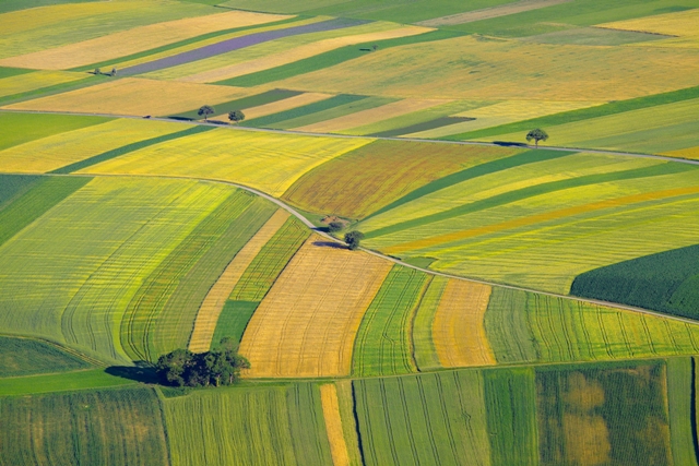 Agricultura de precisão - Créditos Shutterstock