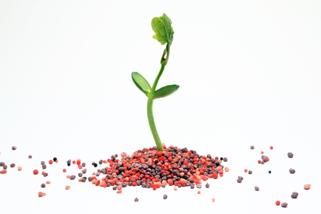 Fertilizantes de liberação lenta - Créditos Shutterstock