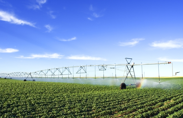 A irrigação agrícola e sua fundamental importância - Crédito Shutterstock