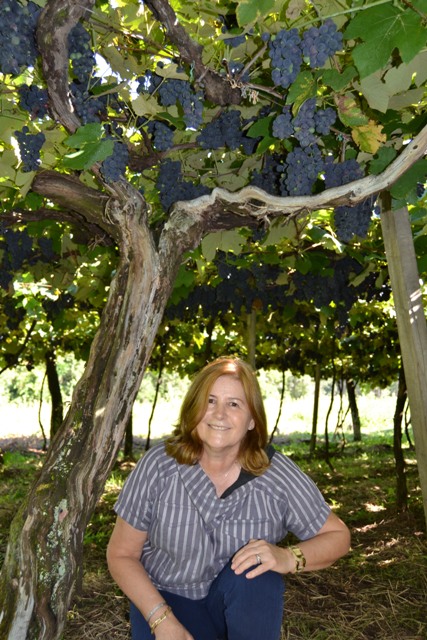 Loiva de Mello, pesquisadora da Embrapa Uva e Vinho - Crédito Viviane Zanella