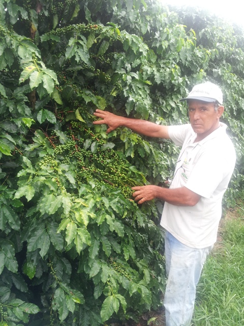 Pedro Augusto de Paula, produtor de café na Fazenda Padre Vitor - Crédito Arquivo pessoal
