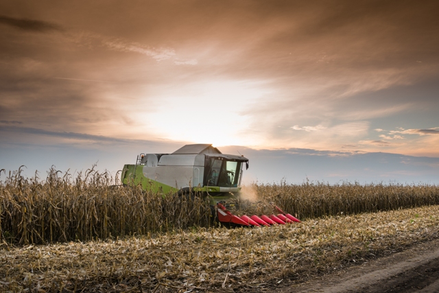 Uma nova opção é a aplicação de produtos biológicos no solo após a colheita - Créditos Shutterstock
