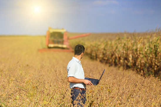 Planejamento da safra agrícola - Crédito Shutterstock