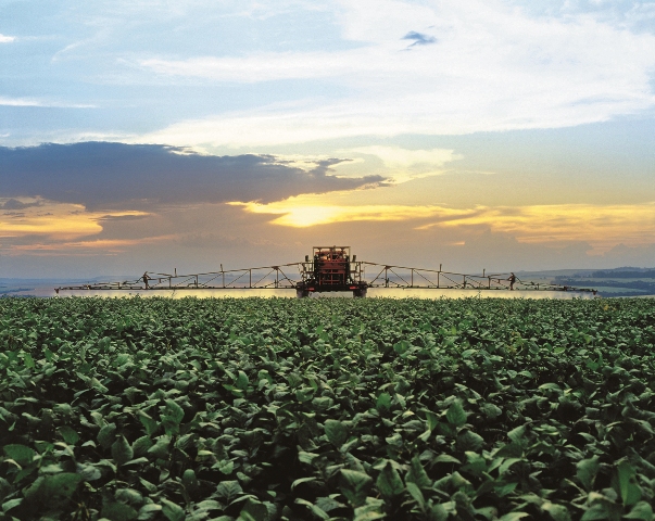 Os bioestimulantes podem reduzir o uso de fertilizantes e aumentar a produção e a resistência aos estresses vegetais- Crédito Montana