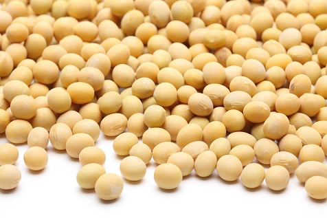 Uso de sementes próprias compromete lavoura Crédito Shutterstock