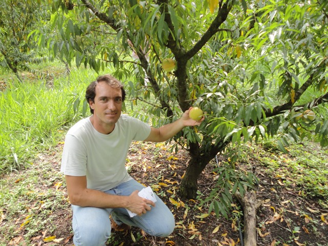 Rafael Pio, professor de Fruticultura da UFLA
