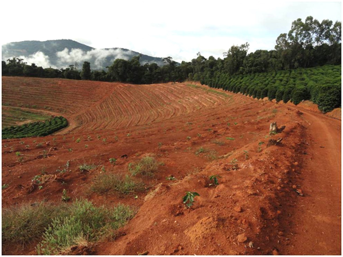 Vista geral de área micro-terraceada antes do plantio do café, em espaçamento de 3 x0,5m. Créditos José Braz Matiello