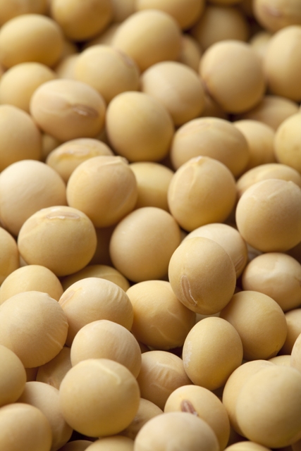 O potássio é um dos nutrientes mais absorvidos pela soja - Fotos Shutterstock