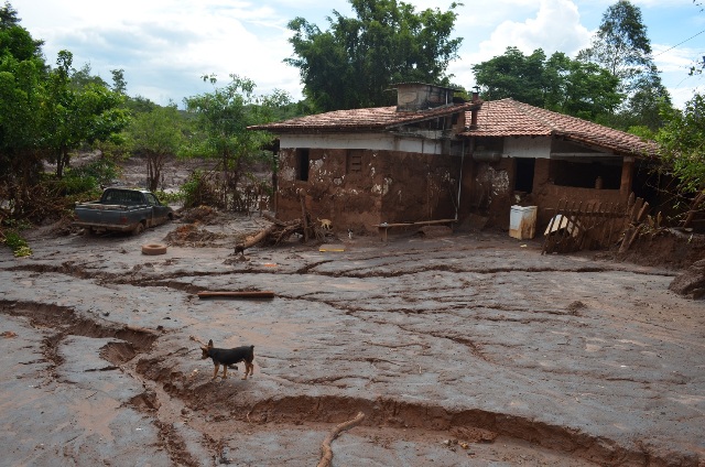 Propriedades rurais na comunidade de Camargos, em Mariana, atingidas pela barragem 
