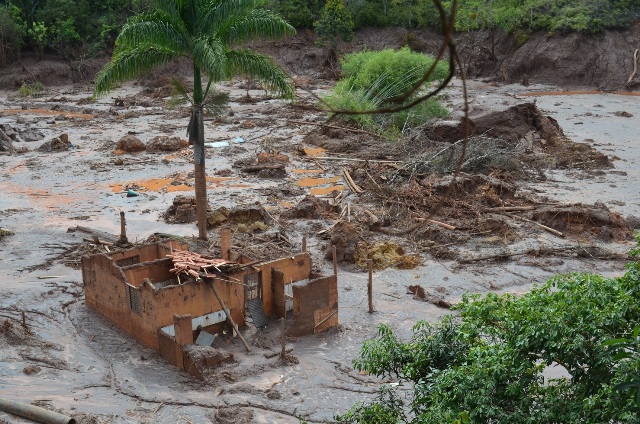 Propriedades rurais na comunidade de Camargos, em Mariana, atingidas pela barragem (3)