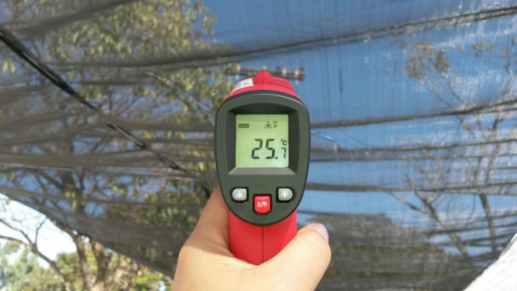 Temperatura média do ambiente medida com termômetro infravermelho sob tela preta e Aluminet -  Créditos Ginegar Polysack