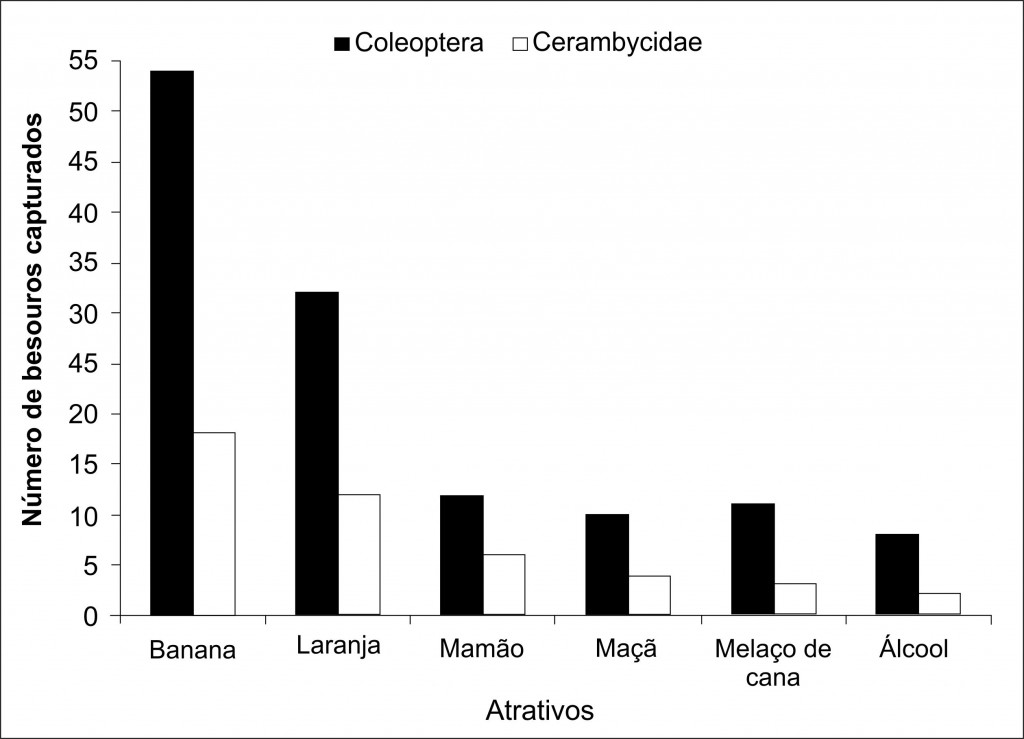 Figura 3. Número de besouroscapturados em armadilhas contendo diferentes tipos de atrativosem plantio deEucalyptus (Lebon Régis, SC).