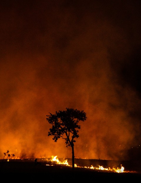 20/08/12. Crédito: Ana Rayssa. Brasil. BrasÃ­lia - DF. incêndio próximo ao setor de clube sul.