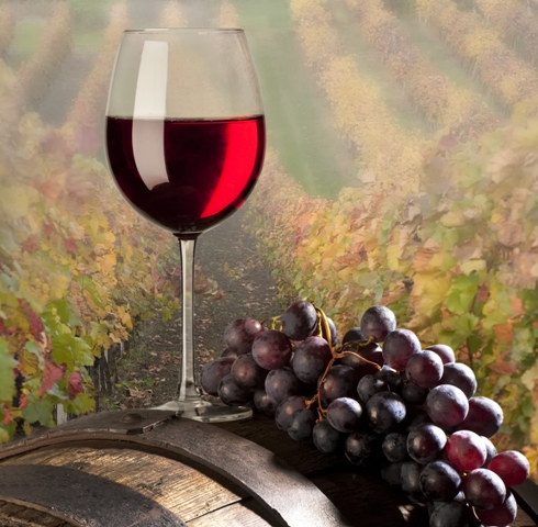 São Paulo e Minas Gerais têm investido na produção de uvas para vinhos finos de qualidade diferenciada - CréditosShutterstock