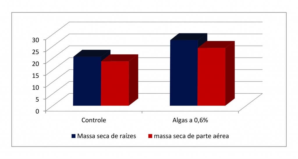 Gráfico 5 - Algas e aminóacidos no tratamento de sementes