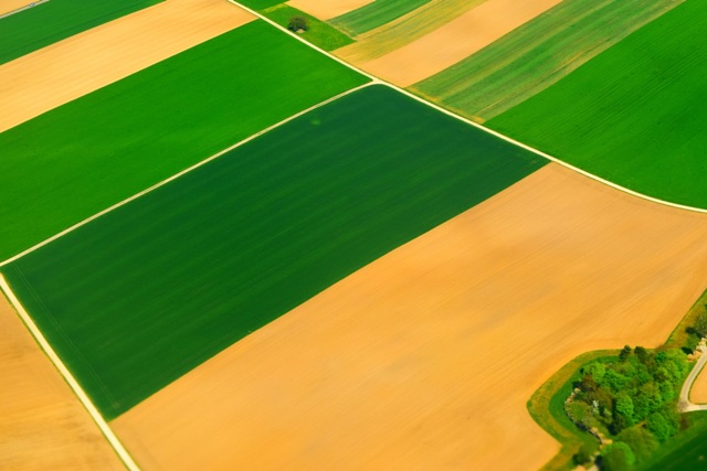 Agricultura de precisão proporciona uniformidade dos talhões - Crédito Pixabay