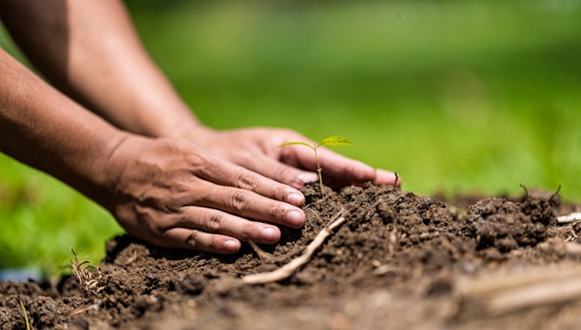 A análise de solo faz parte do planejamento do plantio agrícola - Crédito Shutterstock