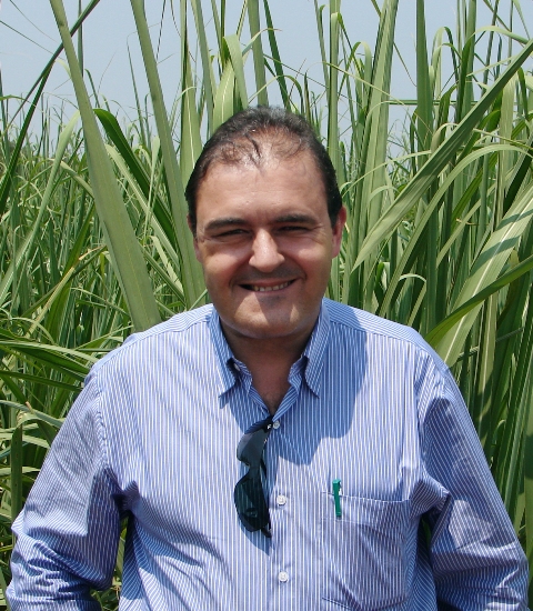 Ronaldo Cabrera, consultor em Agronomia - Crédito Arquivo pessoal