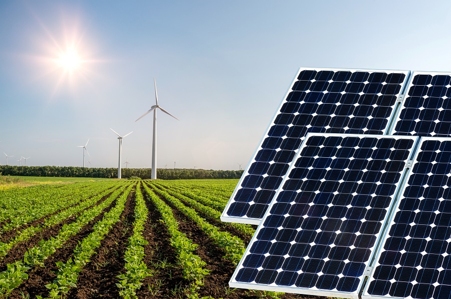 A energia solar é uma tecnologia já presente em diversas propriedades agrícolas - Crédito Shutterstock