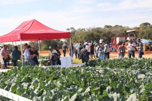 Cerca de mil visitantes conheceram novas variedades de sementes e produtos