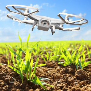  O uso de drones amplifica o olhar do agricultor sobre sua lavoura - Crédito Shutterstock