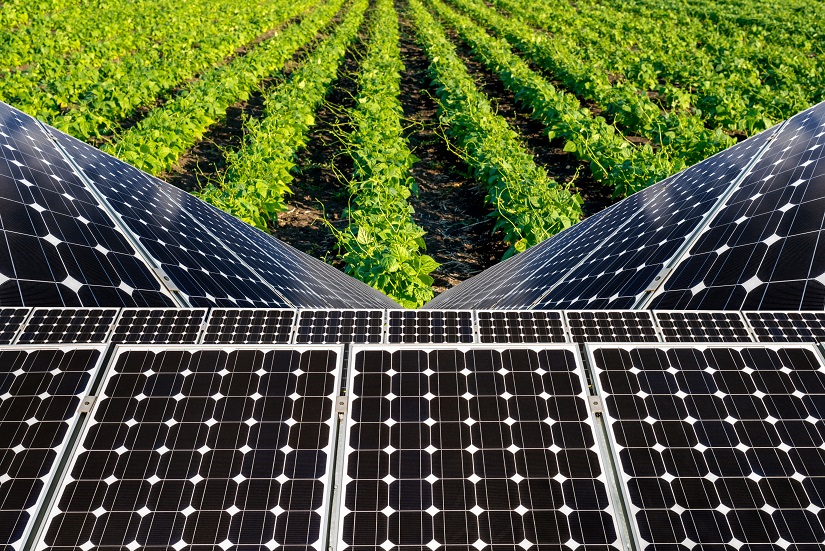 Uma das principais vantagens da utilização da energia solar é a sustentabilidade - Crédito Shutterstock