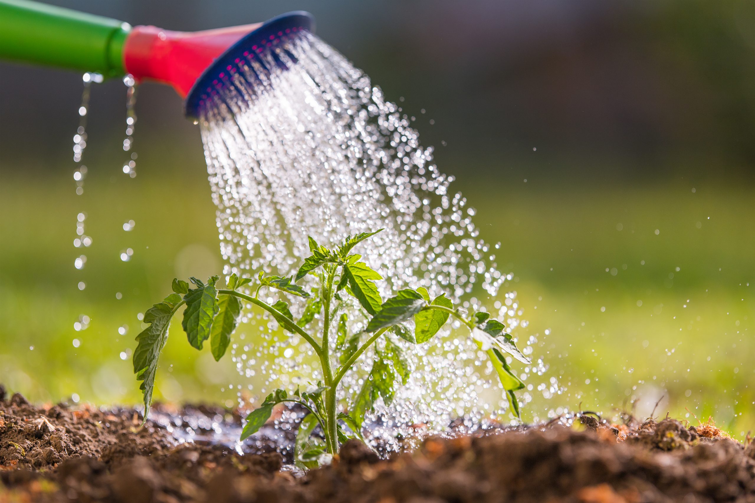 Gel for watering plants