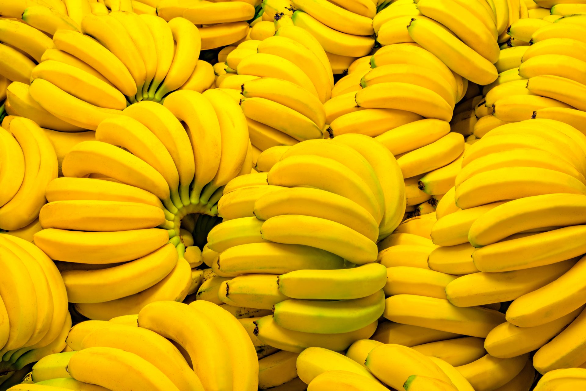 travel in banana