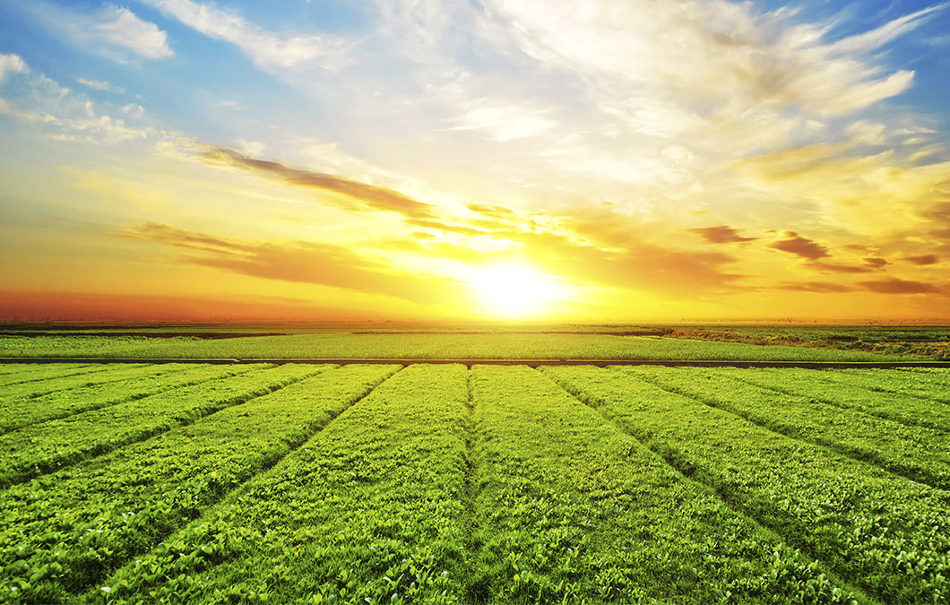 Agrosmart participa da COP28 e lança Nexus