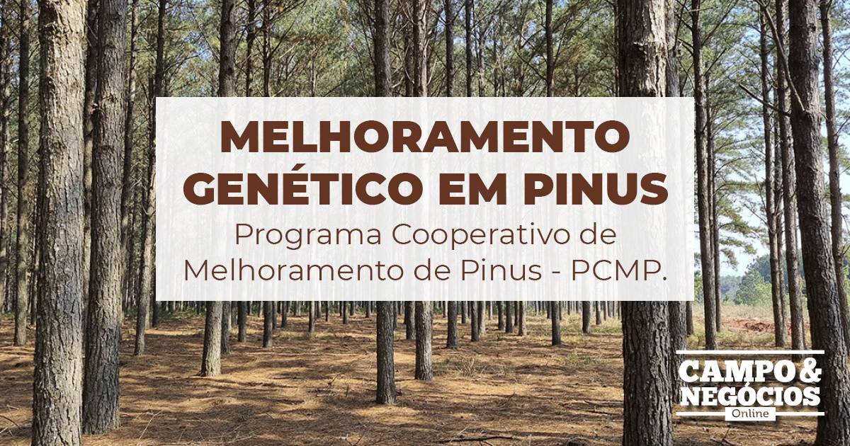 Processos de polinizacão - Melhoramento Vegetal