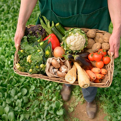 imagem ilustrativa de frutas e legumes