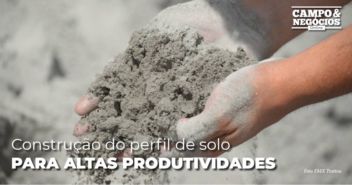 Construção Do Perfil De Solo Para Altas Produtividades