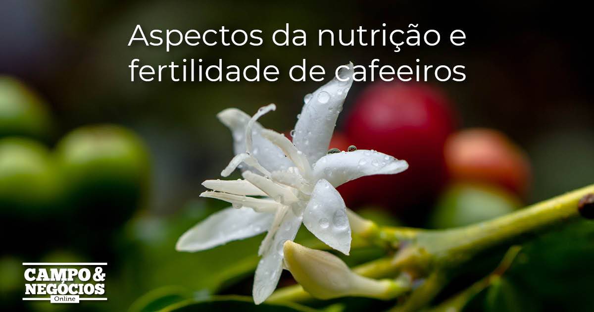 Aspectos Da Nutrição E Fertilidade De Cafeeiros - Revista Campo & Negócios