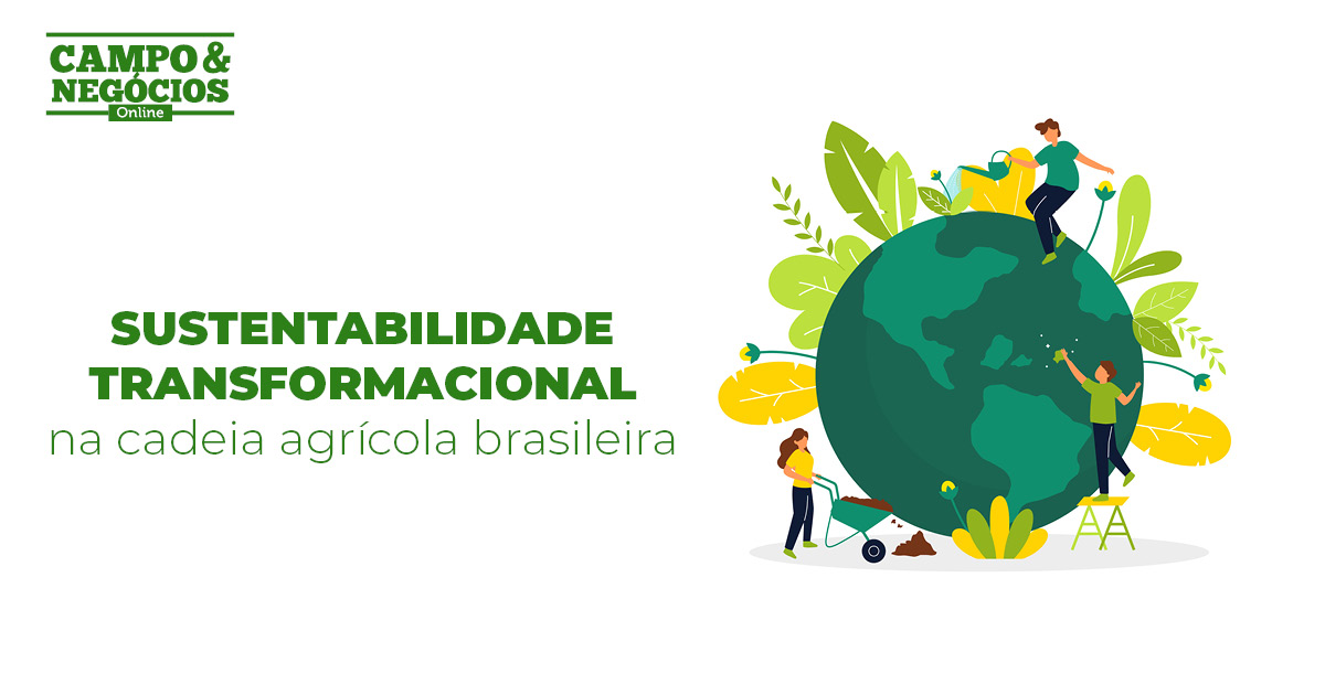 A Sustentabilidade Transformacional Na Cadeia Agrícola Brasileira Revista Campo And Negócios