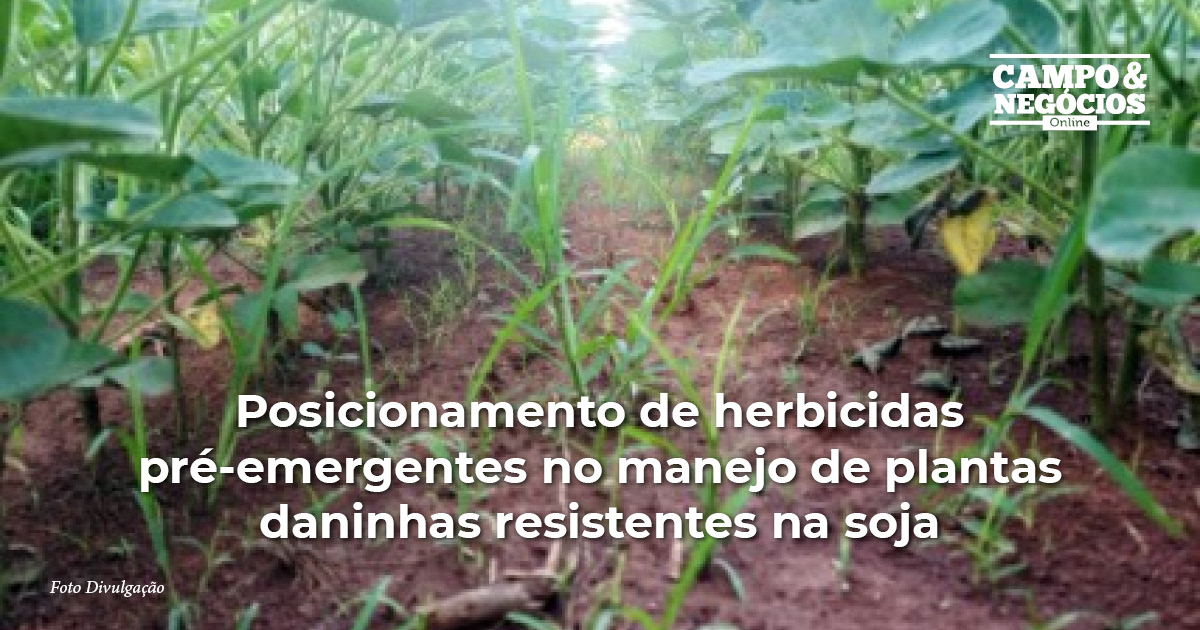 Herbicidas Pré Emergentes na Soja