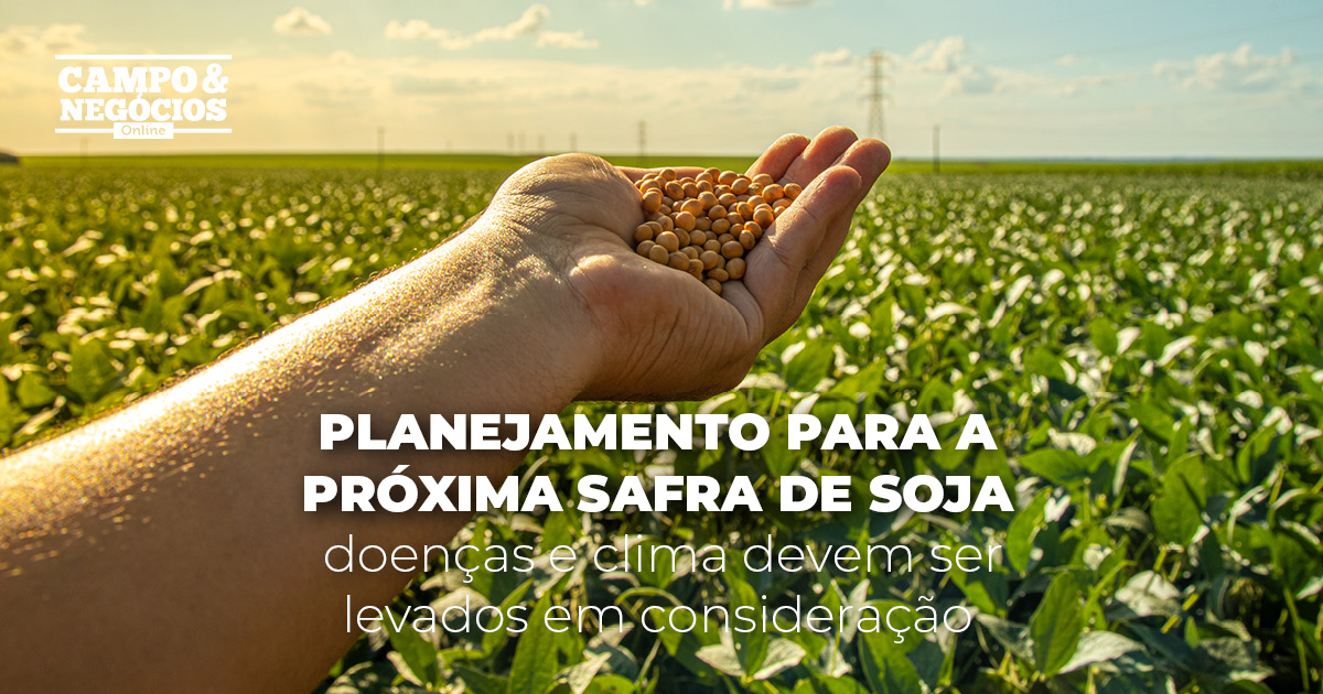 Planejamento Para A Próxima Safra De Soja: Doenças E Clima Devem Ser ...