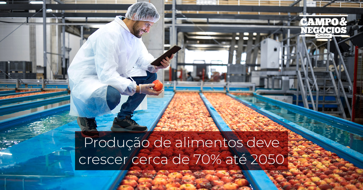 Produção De Alimentos Deve Crescer Cerca De 70 Até 2050 Revista Campo And Negócios 4785