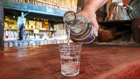 Garrafas de cachaça de alambique e aguardente de cana em exposição no Concurso Cachaças Mineiras