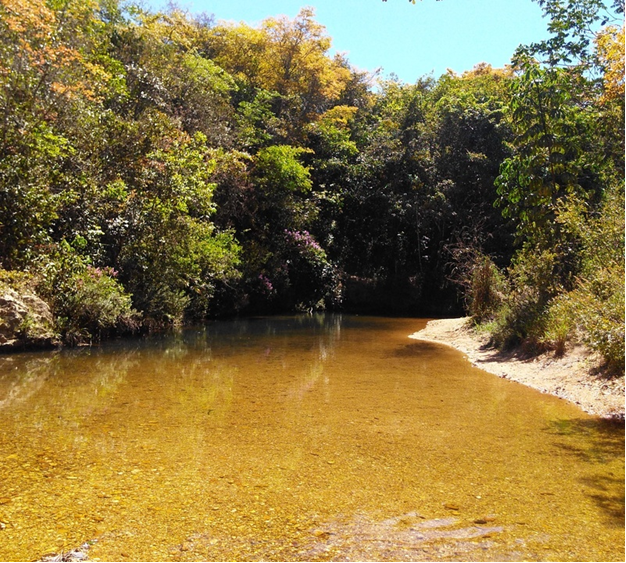 Programa de Investimento no Produtor Consciente, destacando as práticas de irrigação e economia de água.